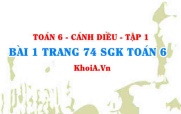 Bài 1 trang 74 SGK Toán 6 tập 1 Cánh Diều